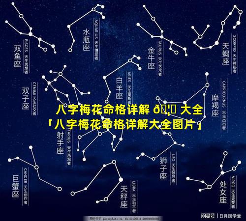 八字梅花命格详解 🦈 大全「八字梅花命格详解大全图片」